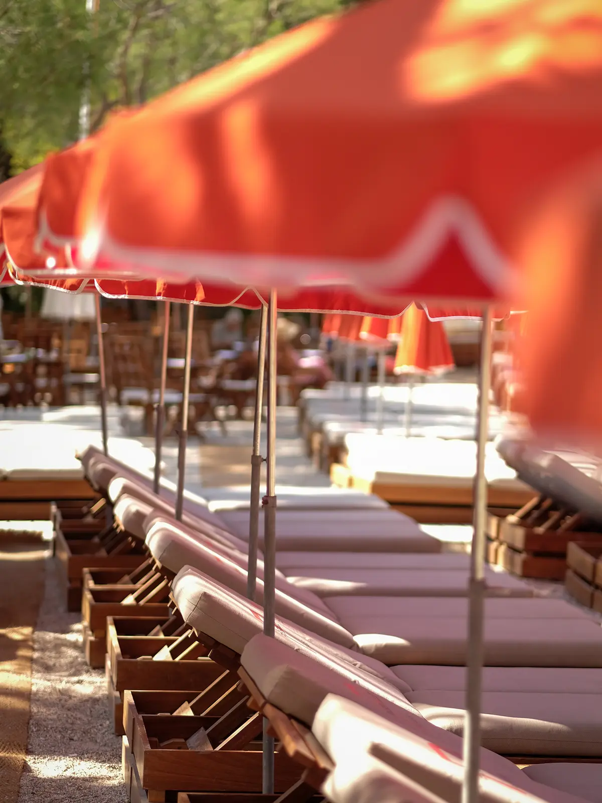 Row of beach loungers with red umbrellas, creating a relaxing outdoor setting under sunlight. Trees and wooden tables are visible in the background.