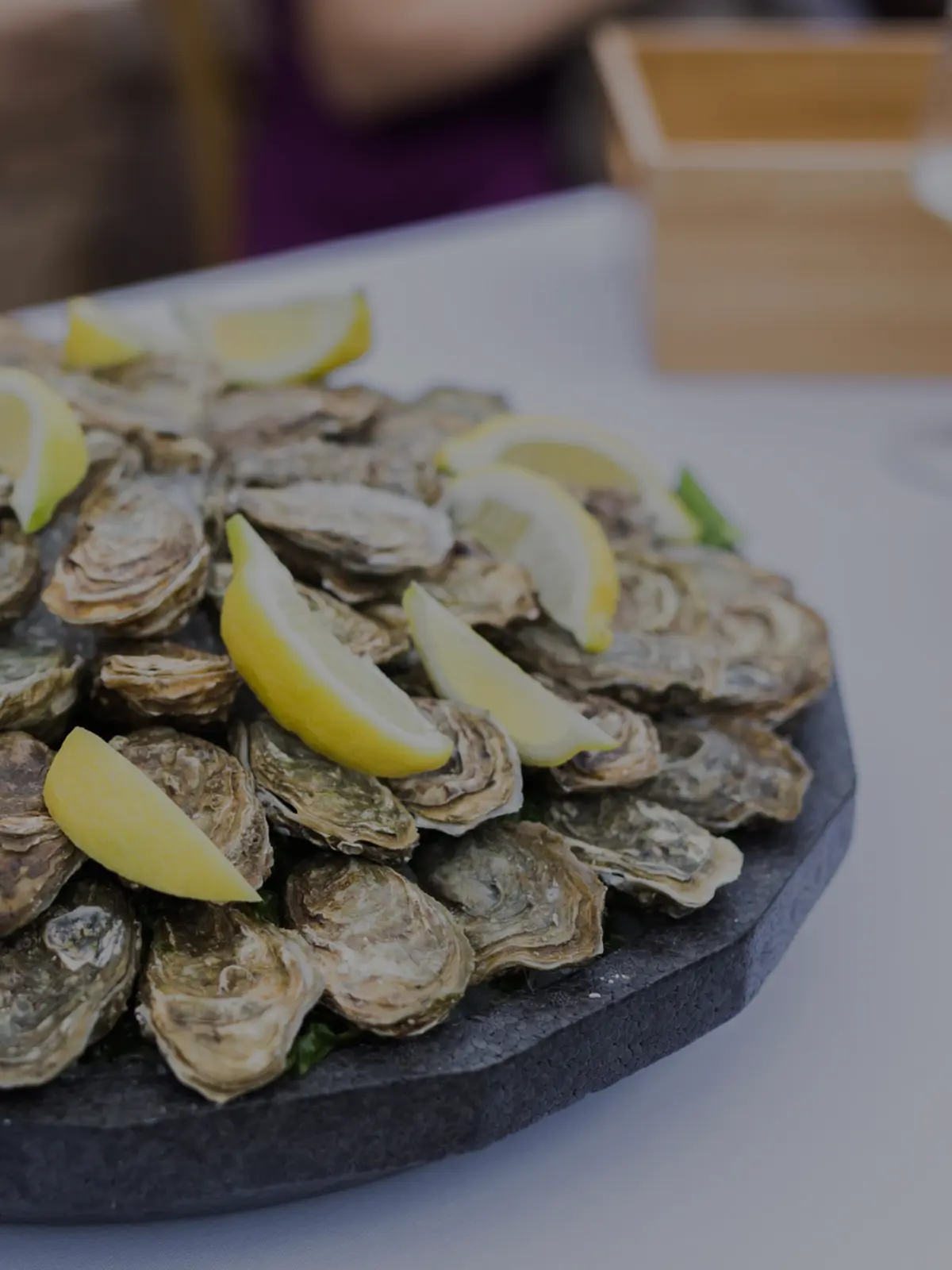 Photographie d'exception capturée avec passion.